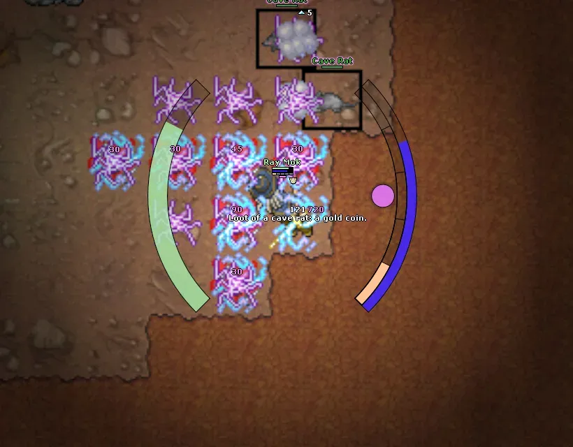 The character fighting an Echo Warden raid, with purple spell effects around a group of empowered cave rats.